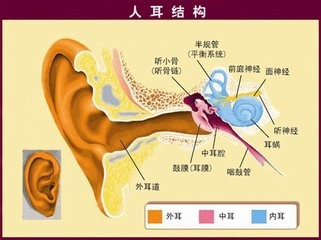 从头到脚看健康,各类疾病早知道早预防早治疗。