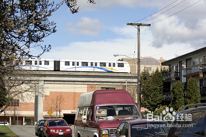 菲比带你看加国--空中列车&樱花（图）