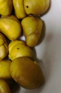 家庭板栗的做法