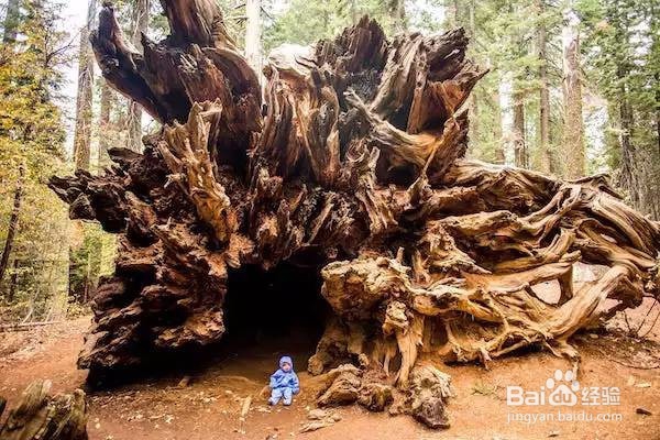 还沉浸在三生三世中？还有另一处美景在等你！