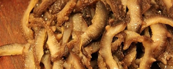 营养美味的海参水饺的制作方法-精编