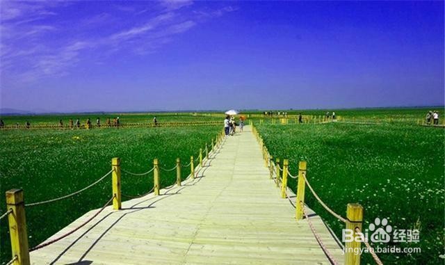 五花草甸风景区旅游怎么样