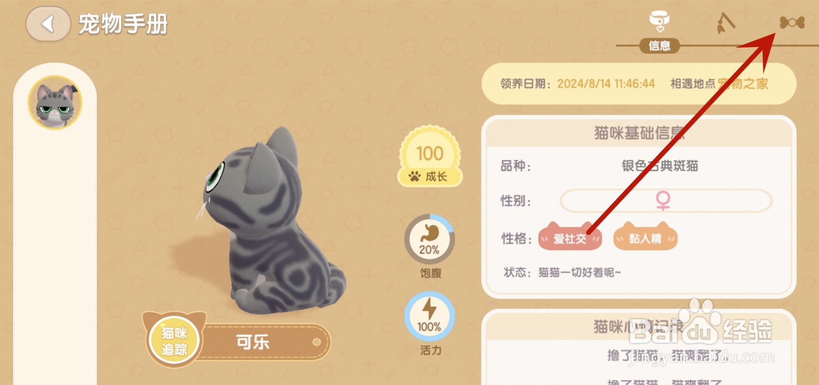 心动小镇怎么装扮宠物