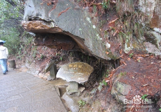 张家界自助游报价网站