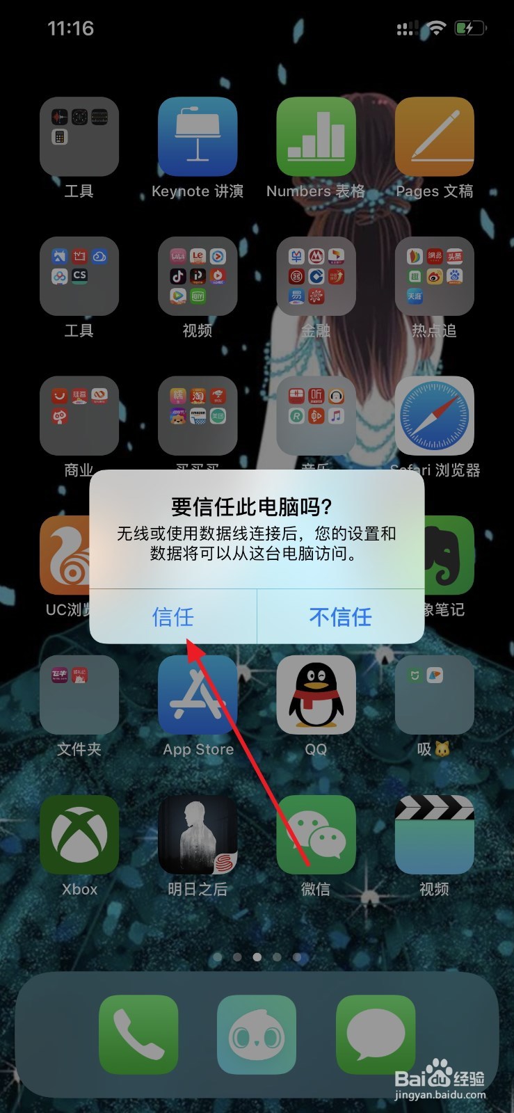 如何查看iPhone手机的电池损耗和寿命