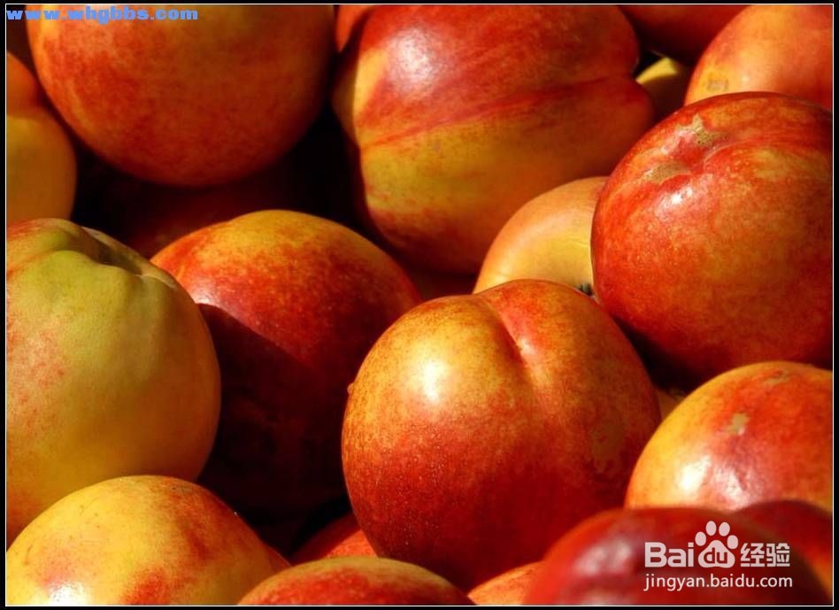 降低胆固醇的食物