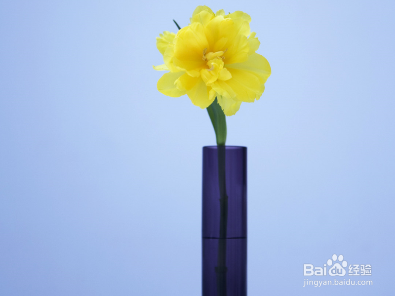 怎么追求暗恋的女孩子