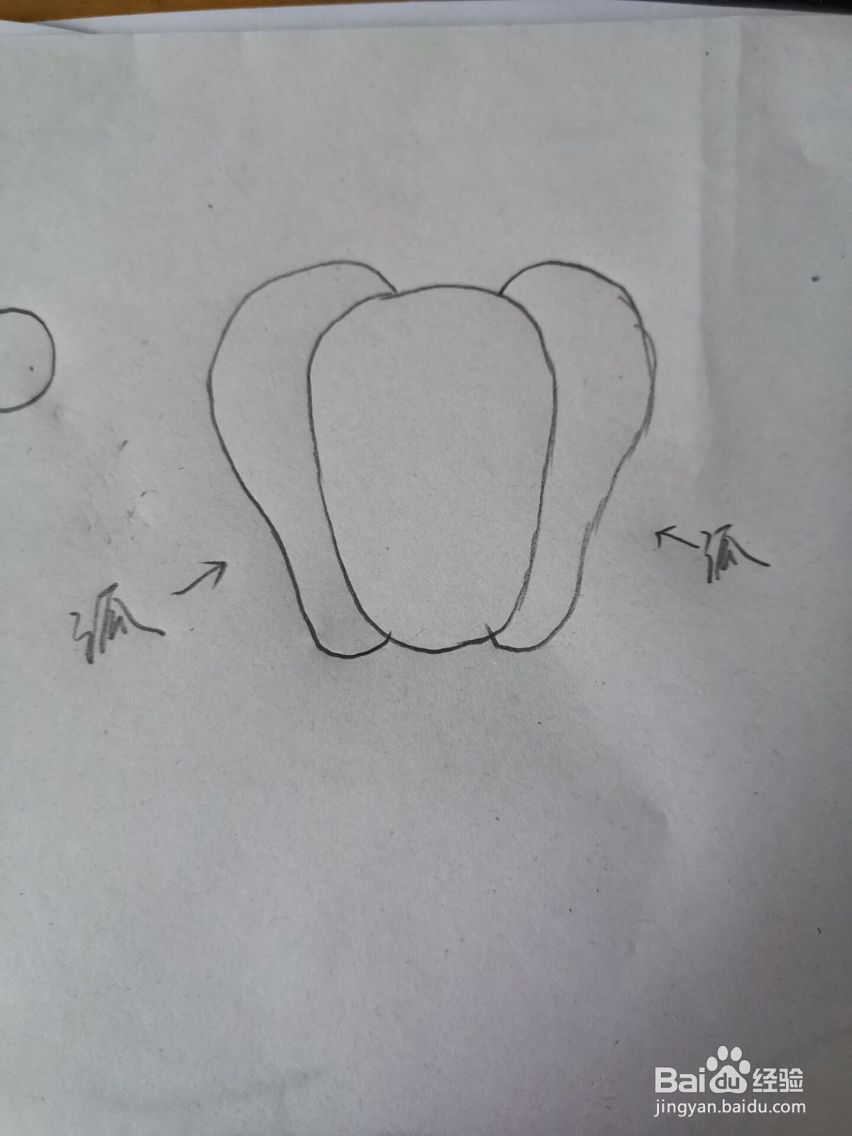 怎么画辣椒简笔画