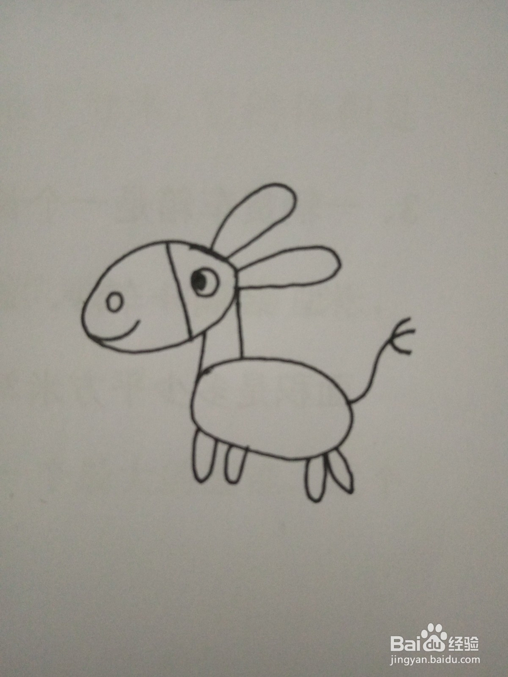 简笔画动物篇之毛驴