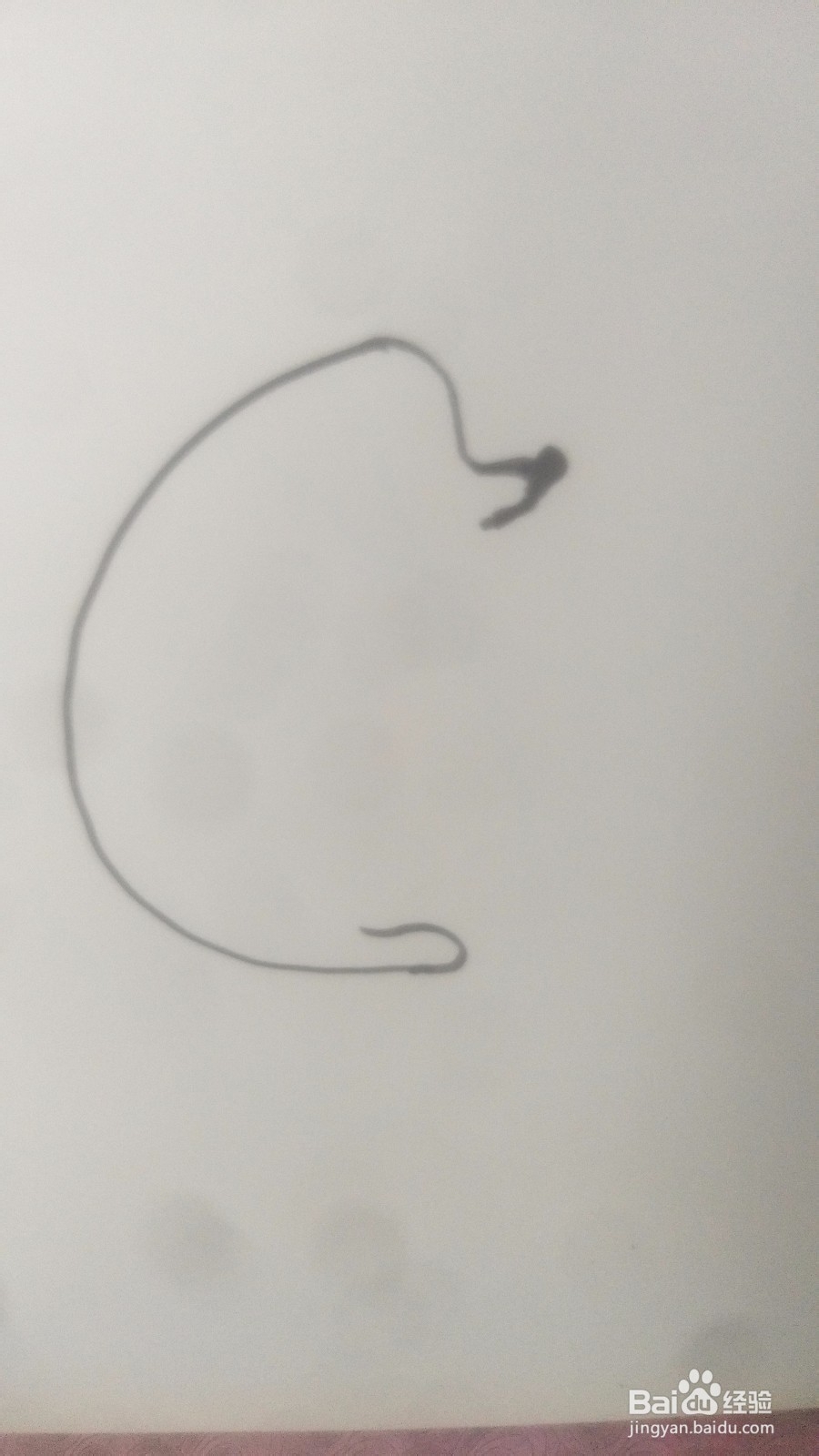 树叶手工,小刺猬
