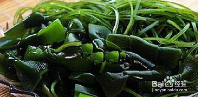 寒性食物一览表