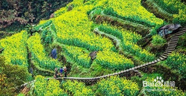 最美仙境，宛如天宫，仙子云集