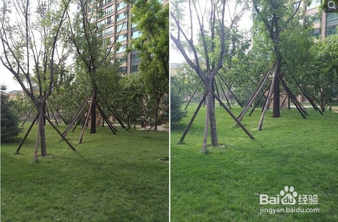 乐视乐Max2金色版对比测评