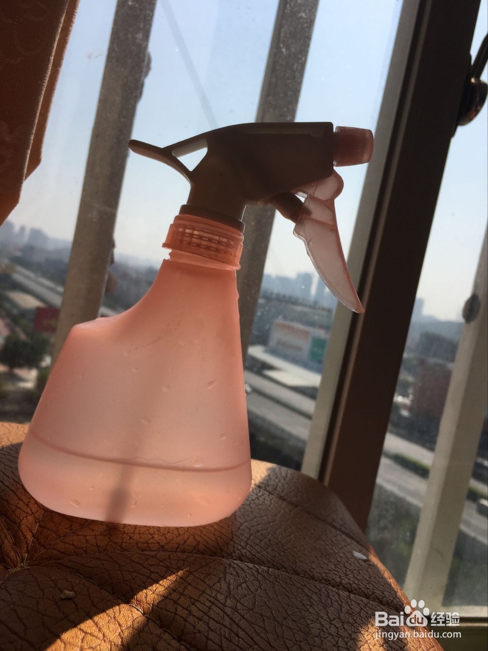 猫咪乱撒尿怎么办?