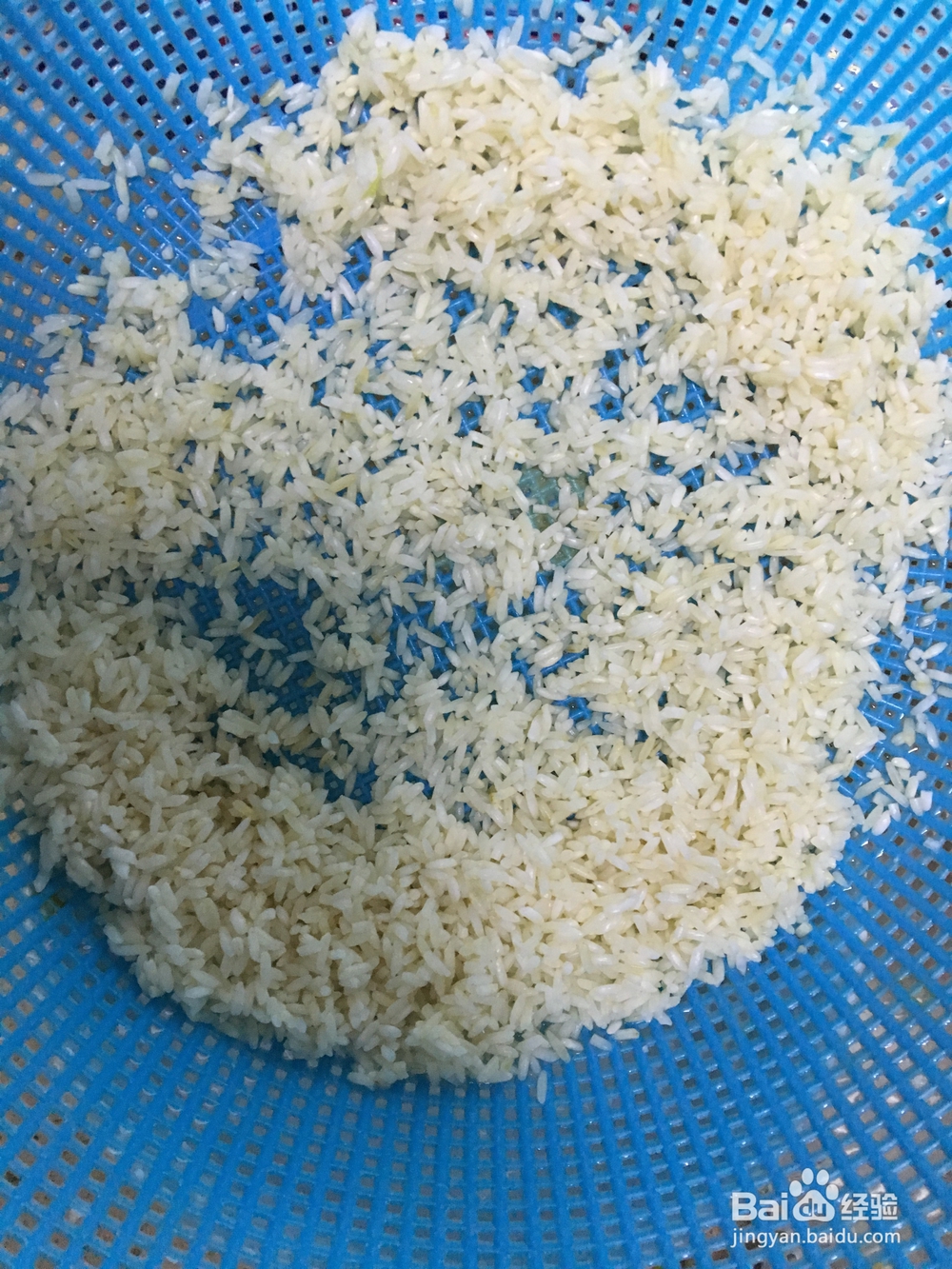 非常简单的刺毛肉圆