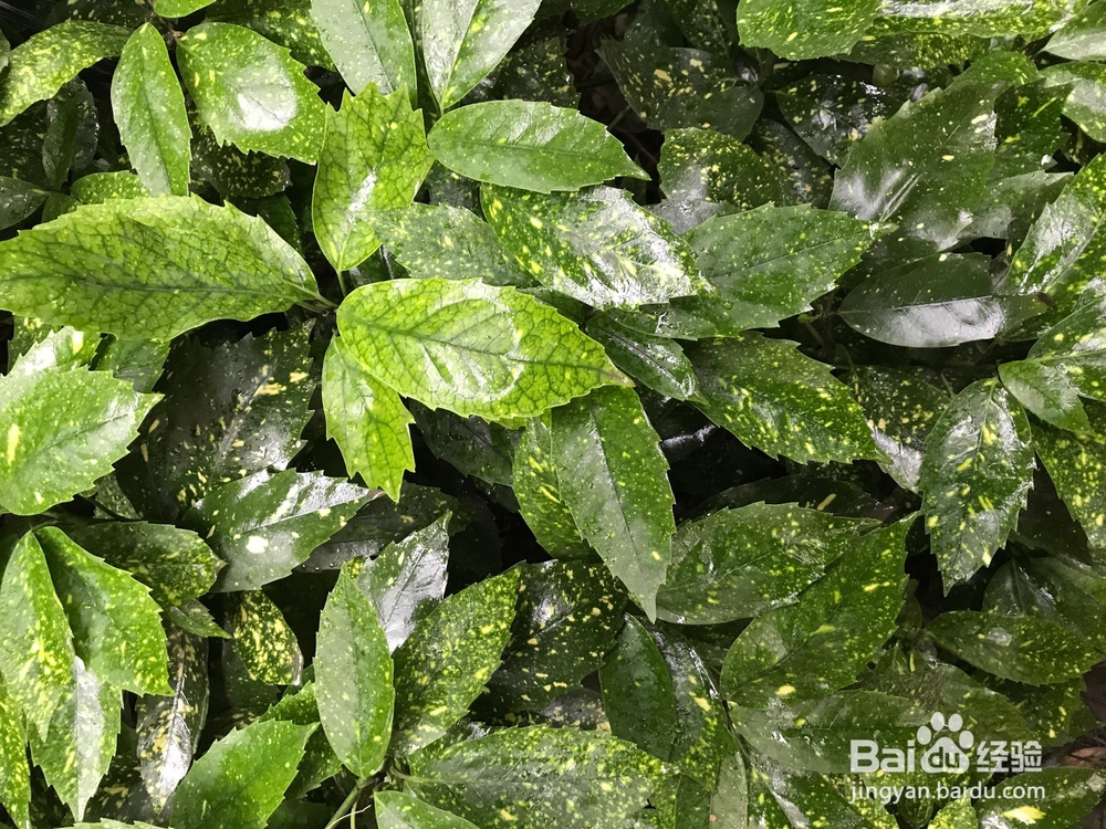 怎么拍摄一张属于自己的屏保