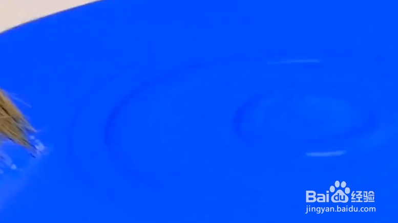 如何画出一副毕加索风格的画