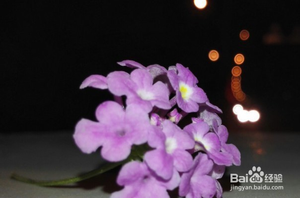 玩转手机微距摄影 的技巧有哪些