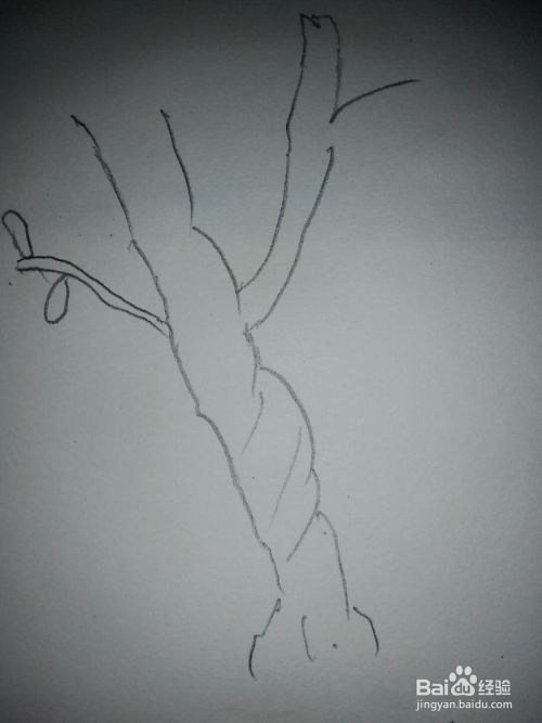 梅花的水彩画法 百度经验