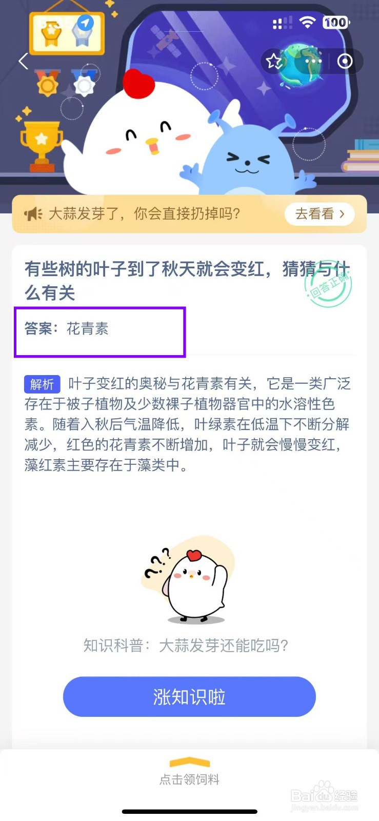 蚂蚁庄园2024.11.23树叶到了秋天变红与什么有关