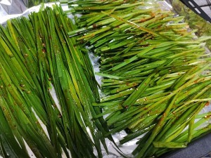 新鲜烧烤韭菜