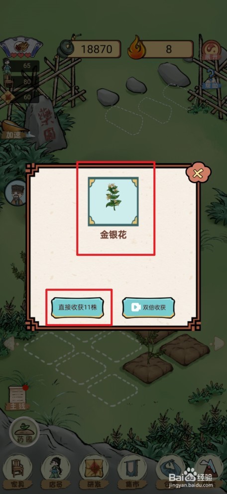 《中药铺子》如何收获草药金银花