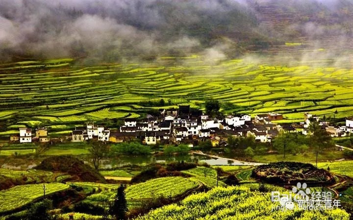 三月份去哪旅游