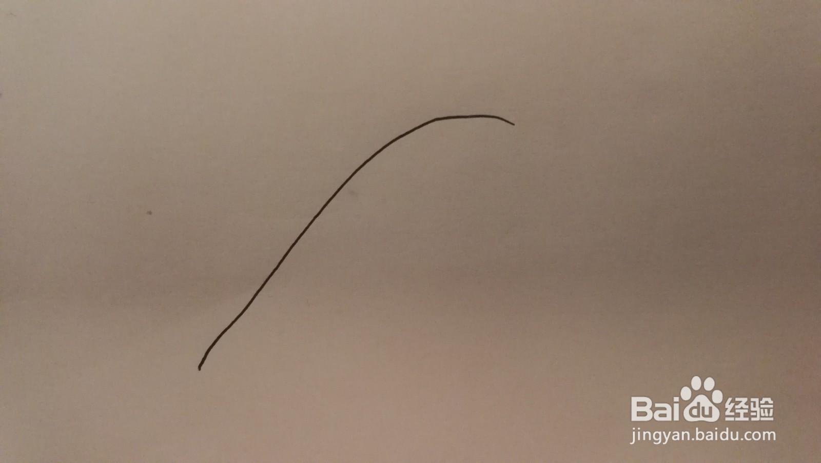 #经验分享官#黑白洞洞叶子简笔画