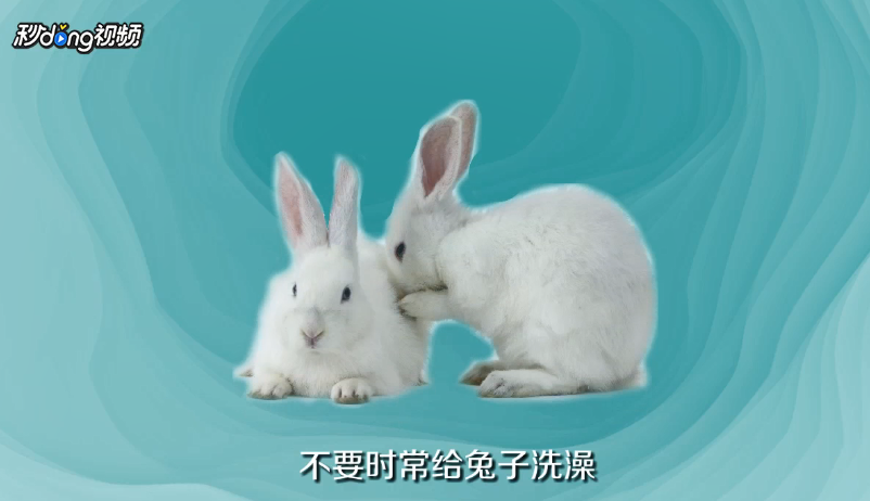 养兔子有什么方法
