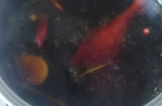 好吃的四川油烫鸭的做法
