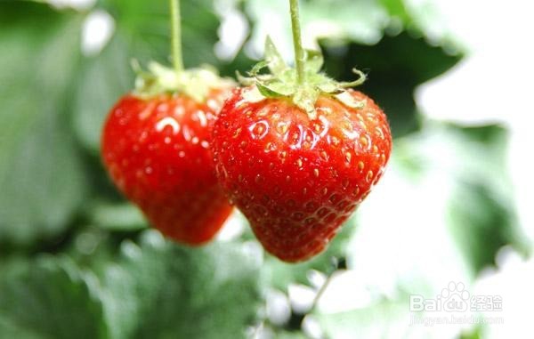 吃水果的好处你知道吗