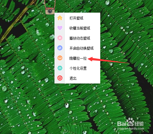 小鸟壁纸怎么隐藏拉一拉挂件