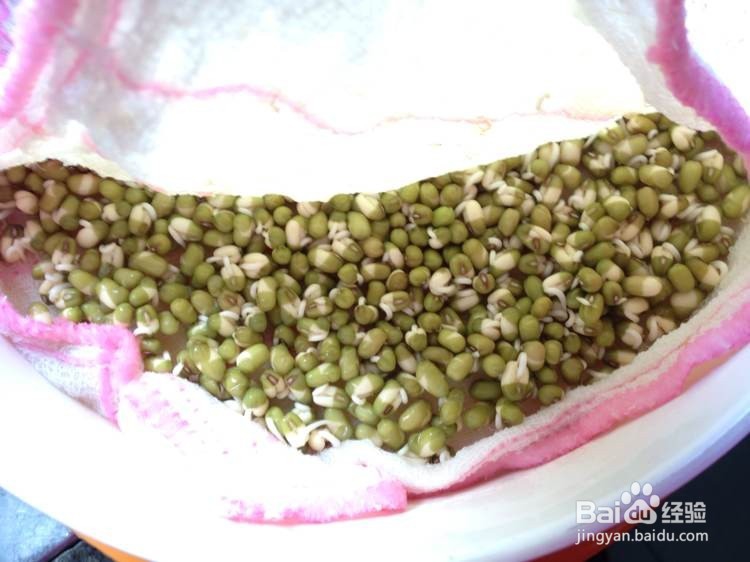 如何发纯正的绿豆豆芽更健康