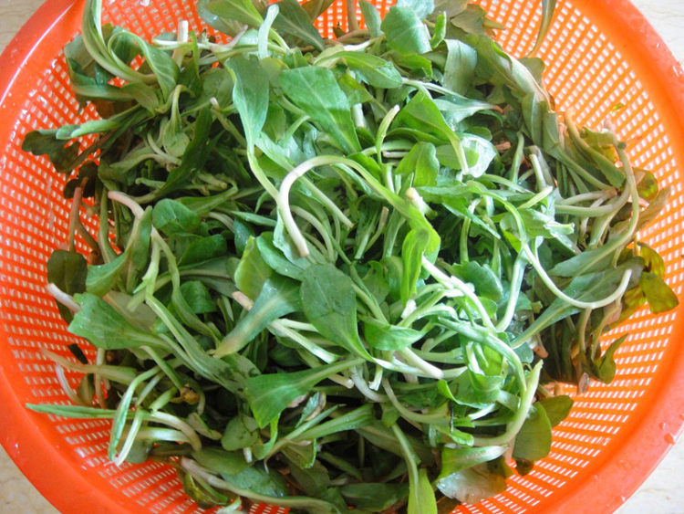 教你做马兰头松仁拌香干,真是难得的美味