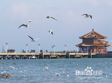 青岛旅游省钱攻略