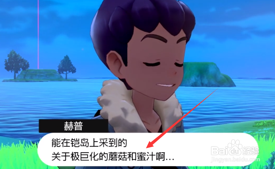 特殊汤料怎么获得