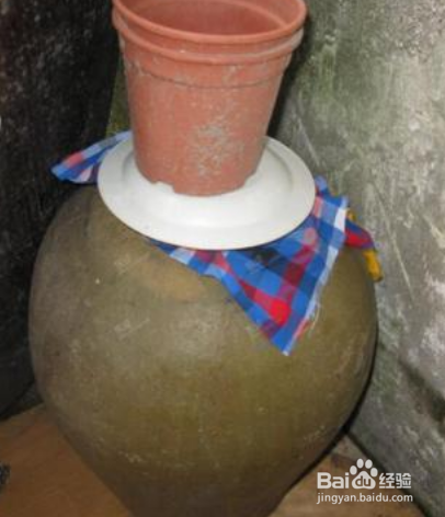 芋头茎的做法