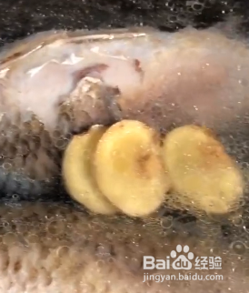 怎样炖鲫鱼豆腐汤呢