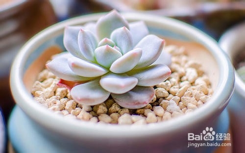 当你难过的时候,如何能快乐起来