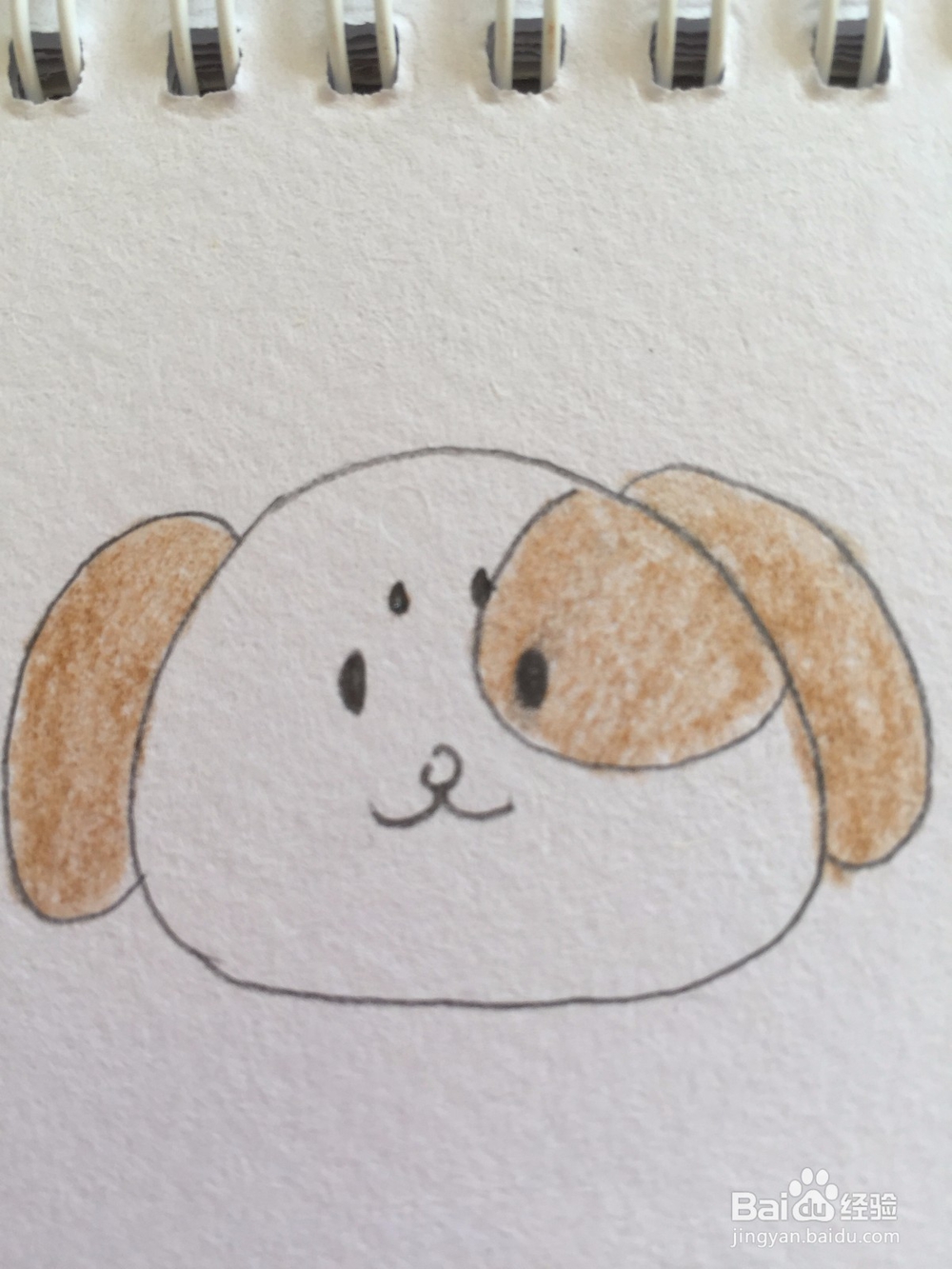 宝宝学动物简笔画