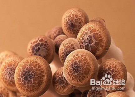 宝宝感冒了怎么办，饮食调理的方法