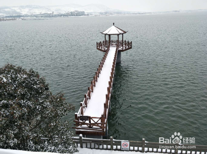 金牛湖有什么好玩的？