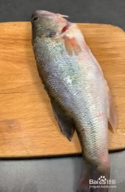 蒸鲈鱼的家常做法