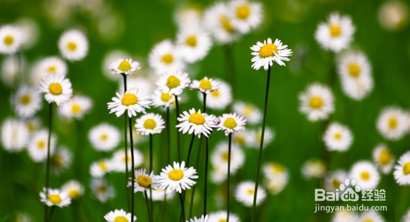 电脑突然连不上无线网,怎么办?