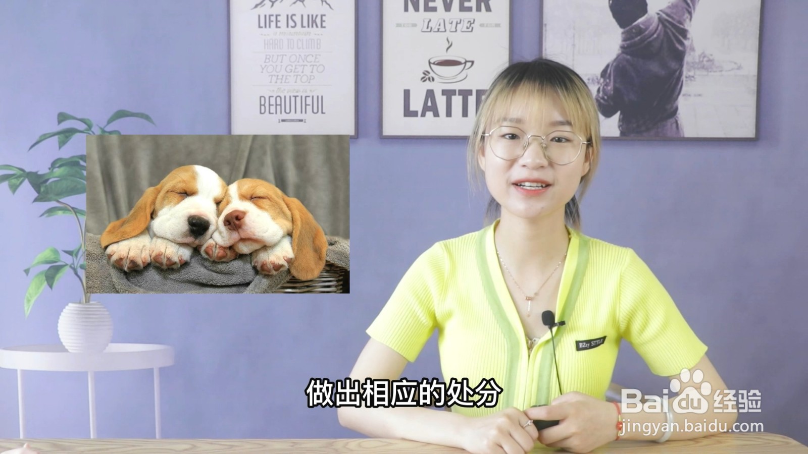 大学养宠物会被记过吗