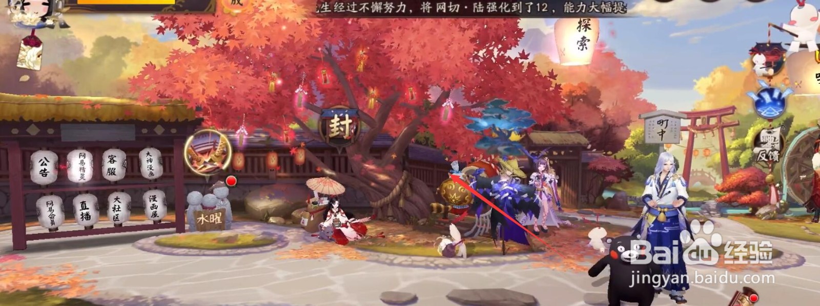 阴阳师青森之秘奖励有哪些