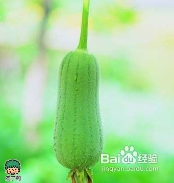 <b>自制补水面膜，分享6种水果面膜补水方法</b>