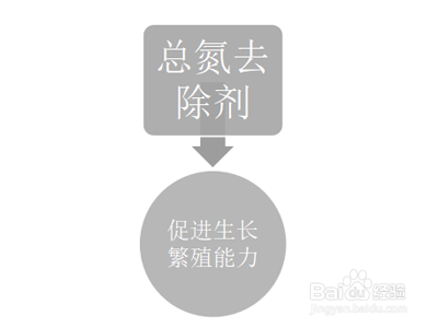 脱氮过程中总氮去除菌剂有哪些作用?