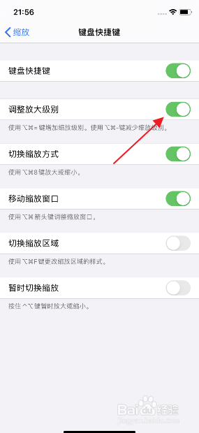 iphone11怎么开启缩放调整放大级别