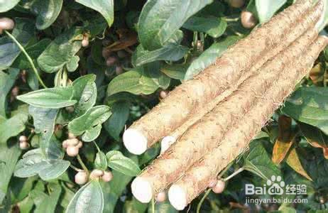 怎么更快更好地缓解孕妇皮肤瘙痒